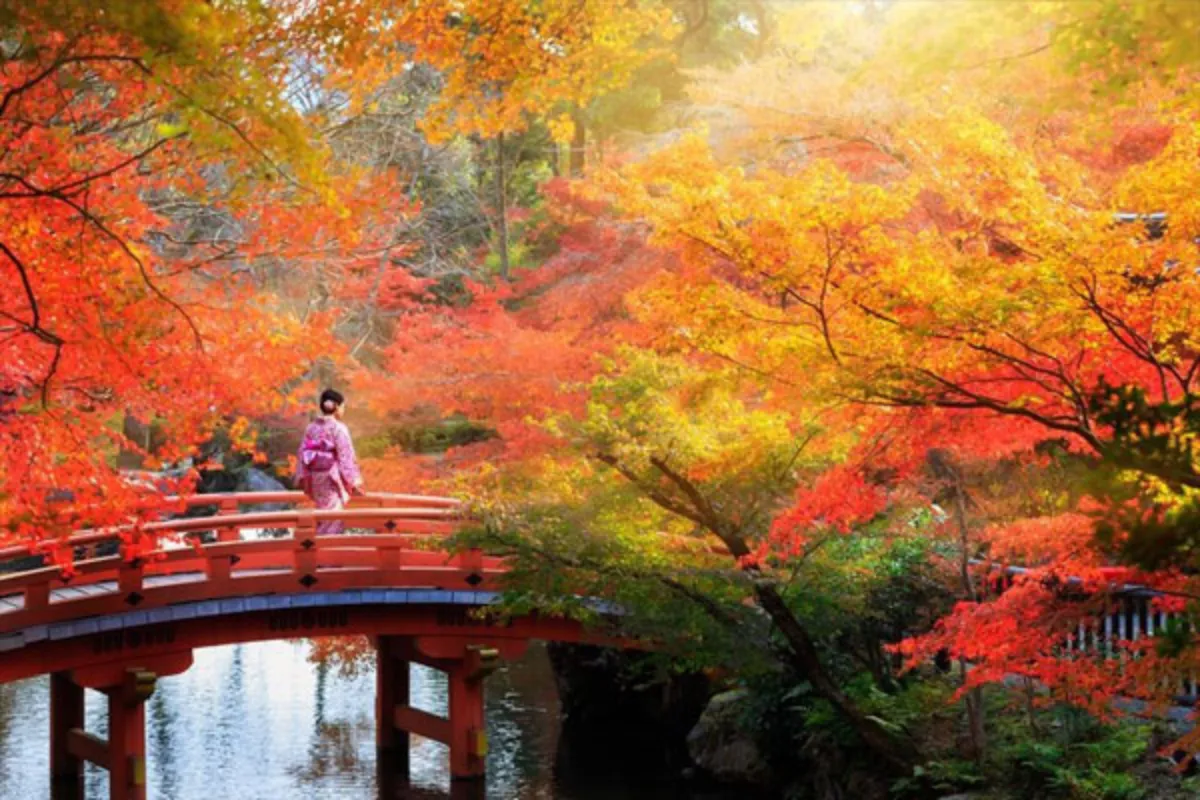 Tranh Phong Cảnh Nhật Bản mùa thu – Lãng mạn với lá phong đỏ